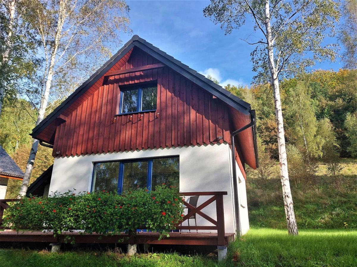 Winny Domek W Radochowie Lądek-Zdrój Exterior foto